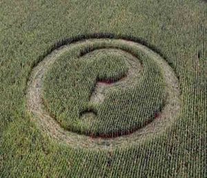 crop_circle18