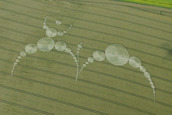 31-East-Field-Alton-Barnes-Wilts-07-07-2007-Wheat-OH