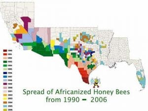 AfricanizedBeeSpread1990-2006