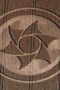 crop_circle11