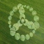 crop_circle3