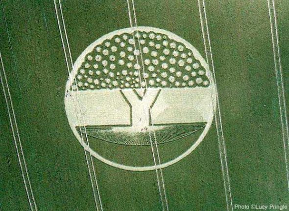 There are 94 Fruit positions which is the Atomic number for Plutonium. Upside down we find what that does.