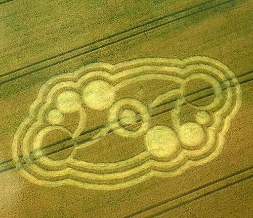 crop_circle_lg361