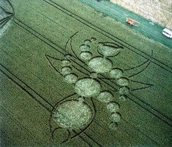 crop_circle_lg356