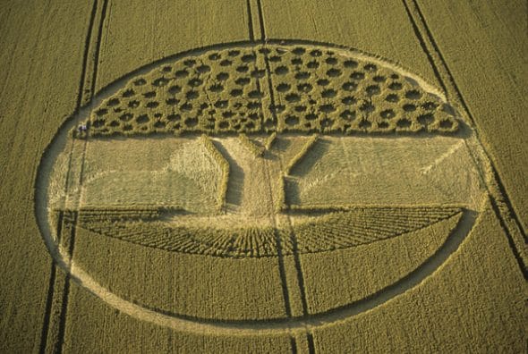 This tree holds the 94 fruit positions the atomic number for plutonium.